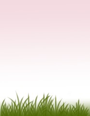 Fototapeta premium green grass background