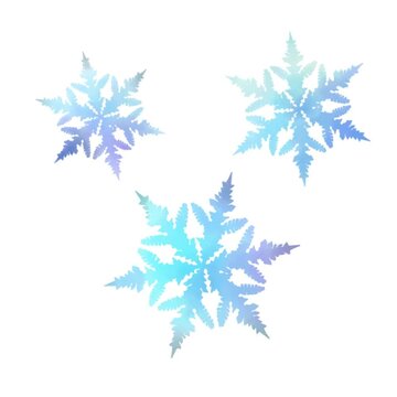 set of snowflakes spin motion graphic micro animation video