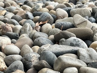 Rocks on a pathway 