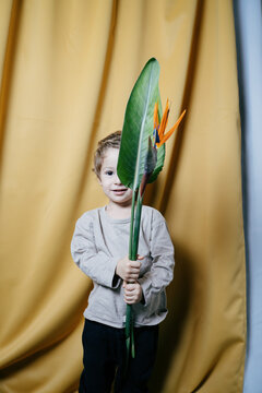 A Child Plays With A Tropical Flower
