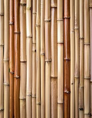 Fototapeta premium Close-up of a wall made of bamboo stalks, showcasing natural textures and earthy tones.