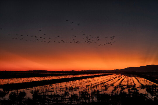 Sunset