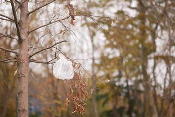 Plastic Bag Caught on Tree Branch in a Public Park, environmental pollution