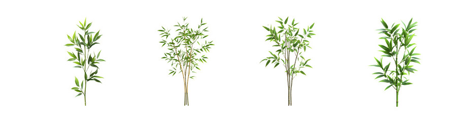 Fototapeta premium Bright Green Leafy Plants on Transparent Background