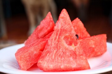 Fresh watermelon summer tropical fruit