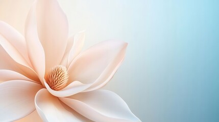 Fototapeta premium Elegant Soft Pink Flower With Gentle Background and Delicate Petals