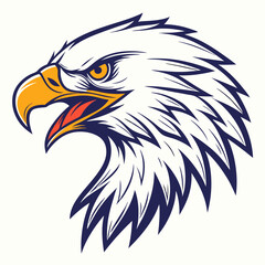 American bald eagle head