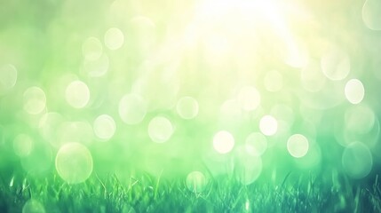 Obraz premium Serene Green Grass Meadow with Sunlight Bokeh