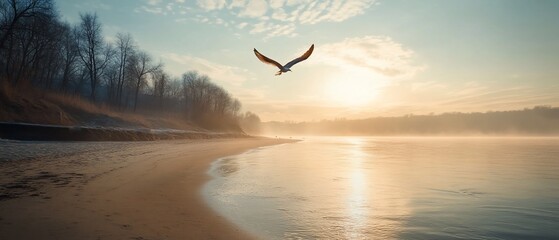 Obraz premium Sunrise bird flight over misty river beach