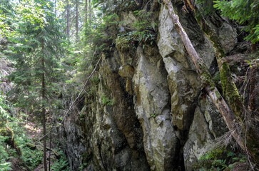 Explore a tranquil forest pathway winding through a stunning rocky gorge of Dovbush pantries surrounded by lush greenery offering an idyllic escape from urban life. Carpathians, Ukraine