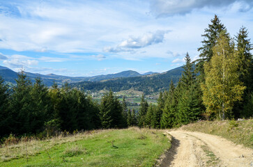 Obraz premium Scenic view of the Carpathian Mountains in Ukraine. A winding dirt road leads through a green meadow towards a forested mountain range. The sky is blue with white clouds