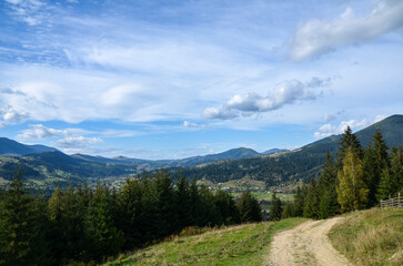 Scenic view of the Carpathian Mountains in Ukraine. A winding dirt road leads through a green meadow towards a forested mountain range. The sky is blue with white clouds