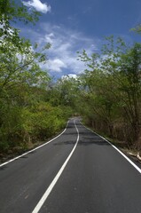 Fototapeta premium Autopistas y carreteras en el estado Guarico. Muchos kilometros de vias asfaltadas para conectar los diferentes puntos del estado.