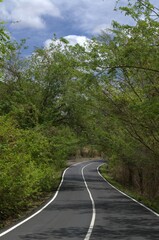 El estado Guarico es predominantemente verde.
Arboles,grandes espacios cultivados,llanuras y pequeñas montañas.