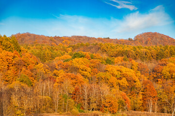 Fototapeta premium 北海道晩秋の夕張の風景.02