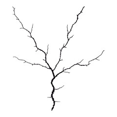 Split lines in the concrete or large fissures in the wall on a white background. Crack wall concrete
