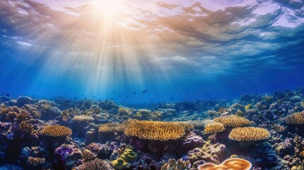 Naklejka premium Underwater Paradise: Sunbeams Illuminate Vibrant Coral Reef