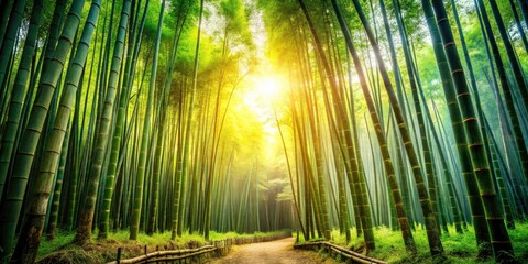 Vintage Bamboo Style Photography: Serene Nature, Rustic Decor, Timeless Aesthetics, Bamboo Forests, Natural Textures, Eco-Friendly Homes, Traditional Crafts, Asian Influence, Tranquil Landscapes