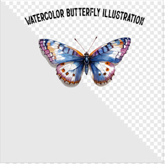 Colorful watercolor butterfly vector illustration.