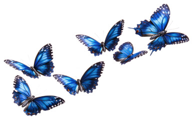 Fototapeta premium PNG 5 blue Butterflies fly butterfly blue butterflies invertebrate.