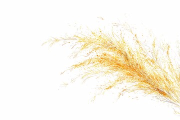 Elegant Golden Dried Grass Against Minimalist White Background