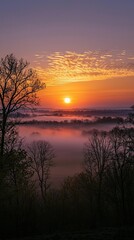 Obraz premium Beautiful sunrise over a foggy valley with silhouettes of tall trees