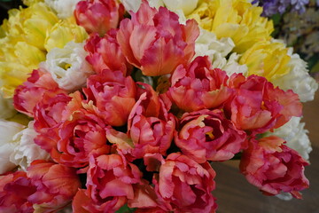 Fototapety na wymiar - Fototapeta24.pl