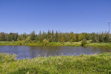 Fototapeta premium Pylypow Wetlands in the Summer
