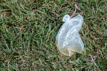 Plastic Bag with Yellow Liquid on Grass - Environmental Pollution Concept