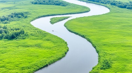 Obraz premium Serpentine River Winding Through Lush Green Marshland
