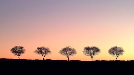 Obraz premium Silhouetted Trees at Sunset Desert Landscape