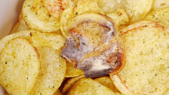 rotten potato chips. rotation. potato chips with spices in a bowl. 