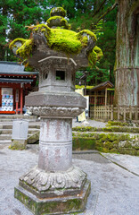 Fototapeta premium japanese garden in the park