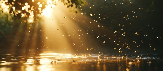 Naklejka premium Golden sunlight rays illuminating water droplets splashing in a tranquil forest river at sunset.