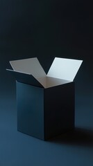 Mysterious Open Black Box: A Minimalist Design