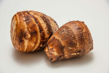 サトイモ　白バック