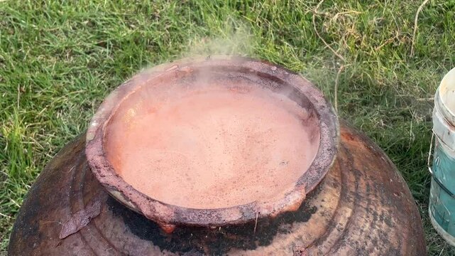 Checking if areca nuts are already cooked. Handheld, close up