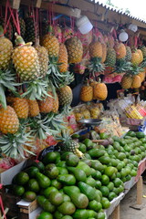 pineapple fruit hanging from a rope at a fruit stall. the most economically important plant in the Bromeliaceae family. Ananas comosus