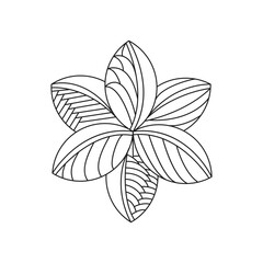 Decorative mandala with floral patterns and leaves on a white isolated