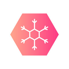 snowflakes gradient icon