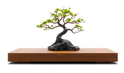Elegant Bonsai Tree Displayed on a Stylish Wooden Base with transparent Background