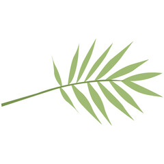 Tropical Leaves Illustration. Flat Cartoon Design of Plant and Flower. Isolated Vector