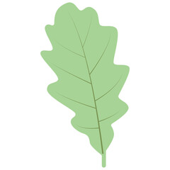 Tropical Leaves Illustration. Flat Cartoon Design of Plant and Flower. Isolated Vector