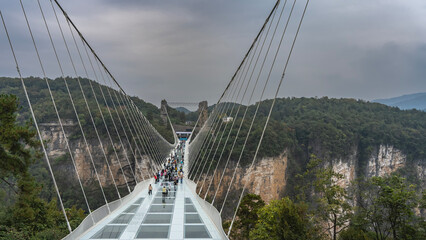 Obraz premium The world's unique longest glass bridge over the gorge. People are walking on a transparent surface. The metal support strings are stretched.Steep cliffs, green forest on the slopes.China.Zhangjiajie 