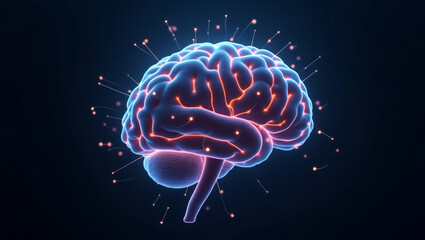 Fototapeta premium Digital Human Brain with Neural Connections