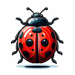 Ladybug (5)