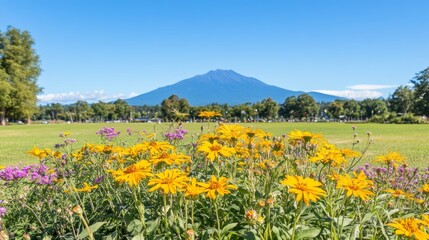 Vibrant Yellow Flowers Blooming Before Majestic Mountain