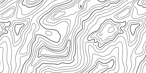 Abstract Contour Topographic Line Pattern in Black and White