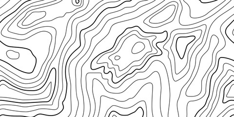 Abstract Contour Topographic Line Pattern in Black and White