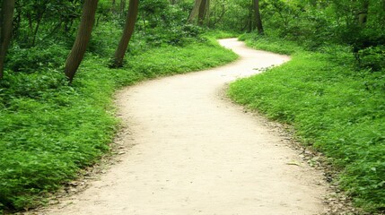 Obraz premium Winding Forest Path Serene Nature Trail Walkway